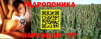 прущие грибы Коммунар
