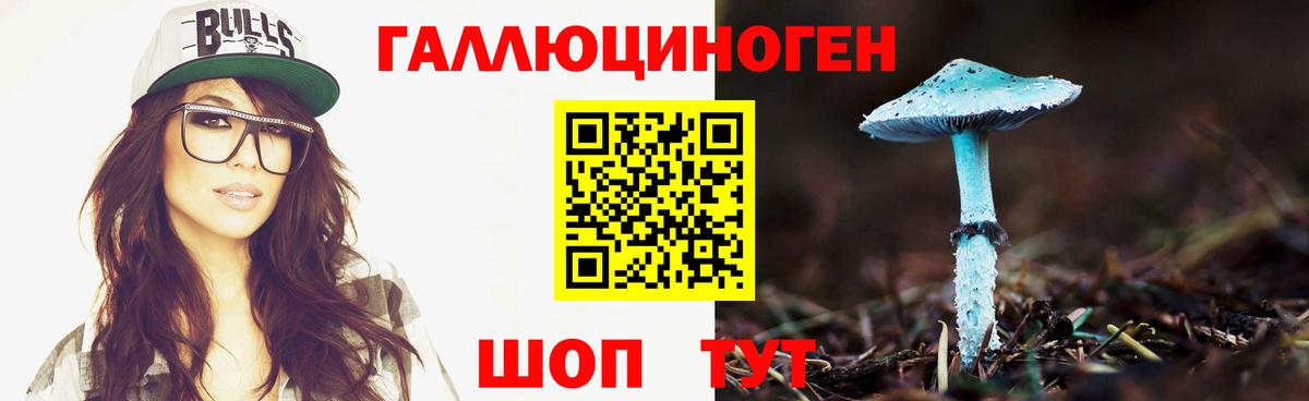 Псилоцибиновые грибы Cubensis  Галлюциногенные грибы GOLDEN TEACHER  Вход с VPN  Ковров 